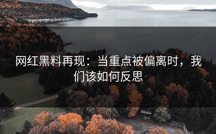 网红黑料再现:当重点被偏离时,我们该如何反思 网红黑料再现:当重点被偏离时,我们该如何反思
